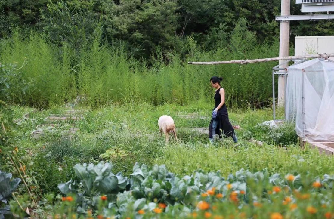 Hotel Hobo Farm Miyun Exterior foto